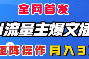 （8328期）AI流量主爆文插件，只需一款插件全自动输出爆文，矩阵操作，月入3W＋