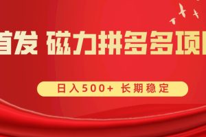 (8611期)首发 磁力拼多多自撸 日入500+