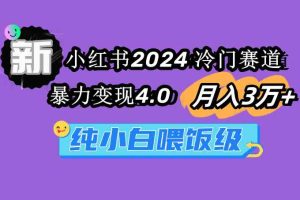 （9134期）小红书2024冷门赛道 月入3万+ 暴力变现4.0 纯小白喂饭级