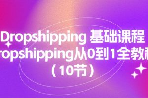 (11110期)Dropshipping 基础课程,Dropshipping从0到1全教程(10节)
