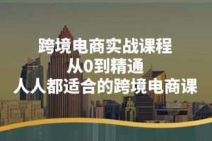 (11183期)跨境电商实战课程:从0到精通,人人都适合的跨境电商课(14节课)