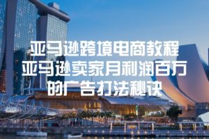 (11453期)亚马逊跨境电商教程:亚马逊卖家月利润百万的广告打法秘诀