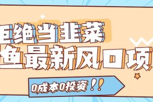 （11781期）闲鱼最新风口项目，0成本0投资，当日出单，日入1000+
