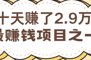 闲鱼小红书最赚钱项目之一,纯手机操作简单,小白必学轻松月入6万+