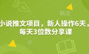 小说推文项目，新人操作6天，每天3位数分享课